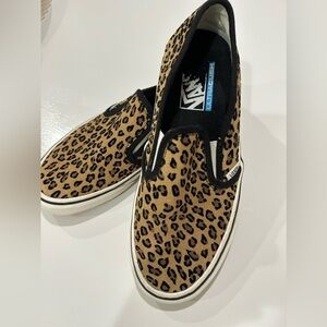 Vans Classic Slip-on Skate shoe